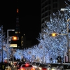 六本木の冬と東京タワー