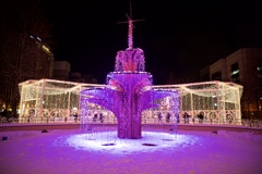 Winter Night in Sapporo