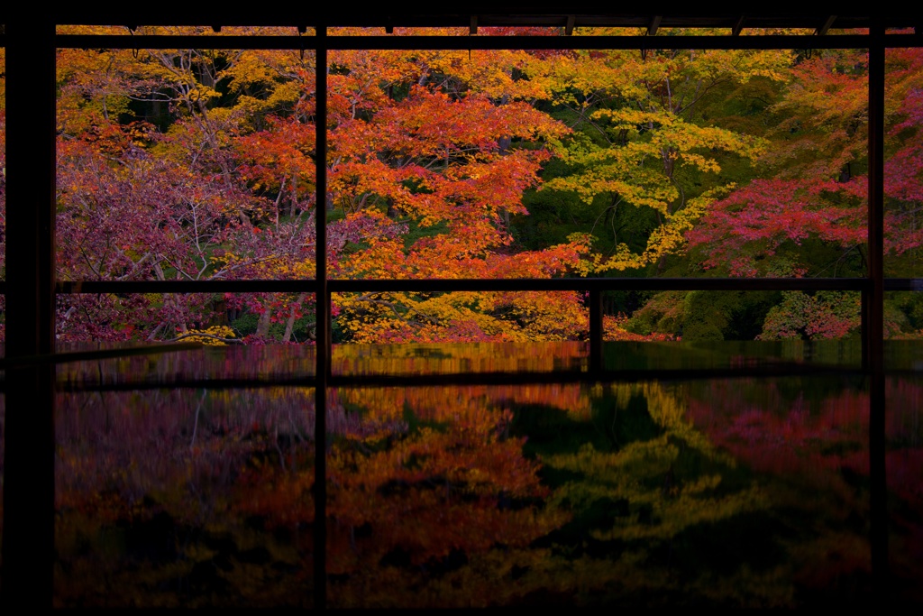 瑠璃光院　秋