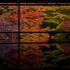 瑠璃光院　秋