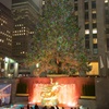 The world's most famous Christmas tree③