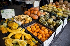 Green Market in Union Square