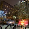 The world's most famous Christmas tree②