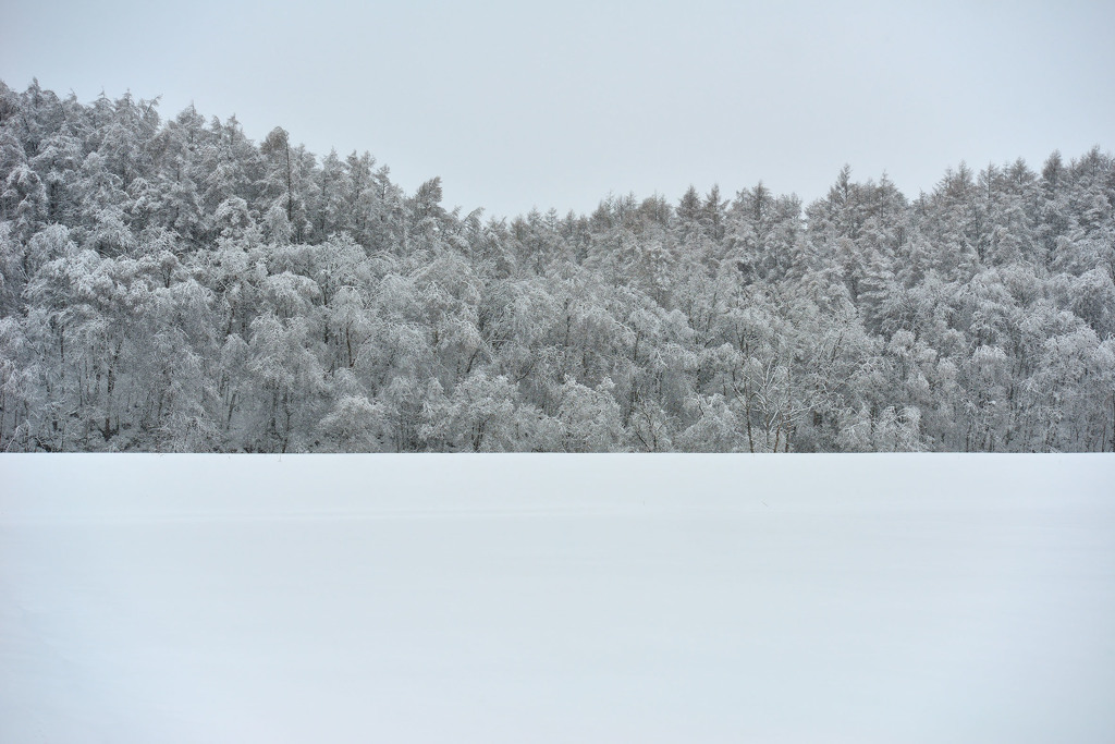 雪国2