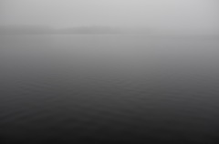 霧の田貫湖