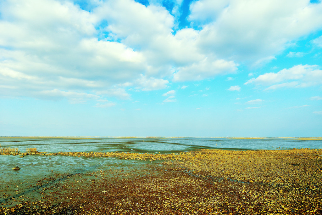 遠浅20140113_2