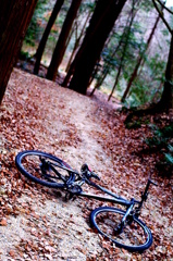 ＭＴＢと山道
