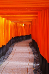 どこまでも続く・・・