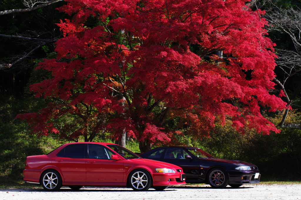 紅葉とスポーツカー