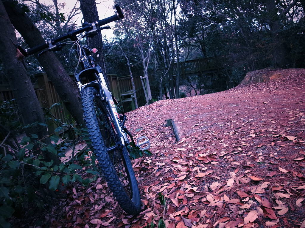 きた道