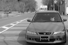 洗車後に