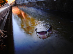 凍った表面にサングラスを