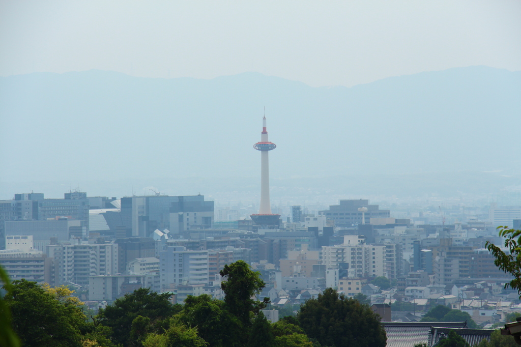 清水から見た京都タワー