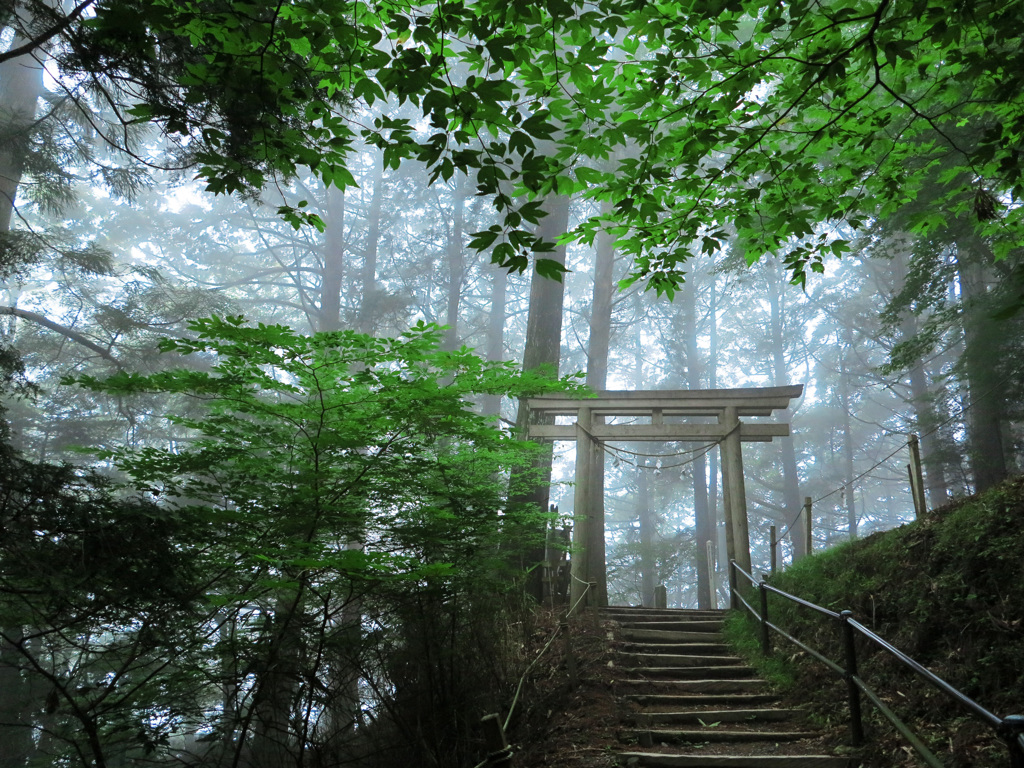 朝霧の聖域