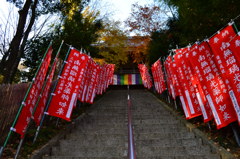 境内へ進む