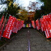 境内へ進む