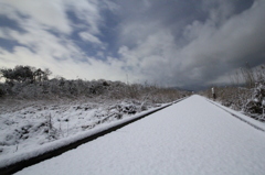 初雪