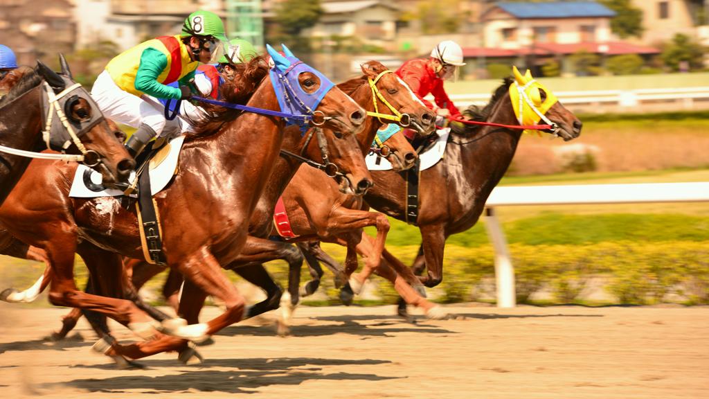 浦和競馬　第4レース