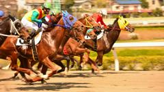 浦和競馬　第4レース