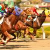 浦和競馬　第4レース