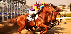 START DASH