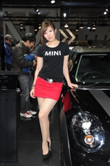 MINI コンパニオン