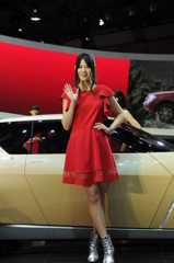 NISSAN コンパニオン