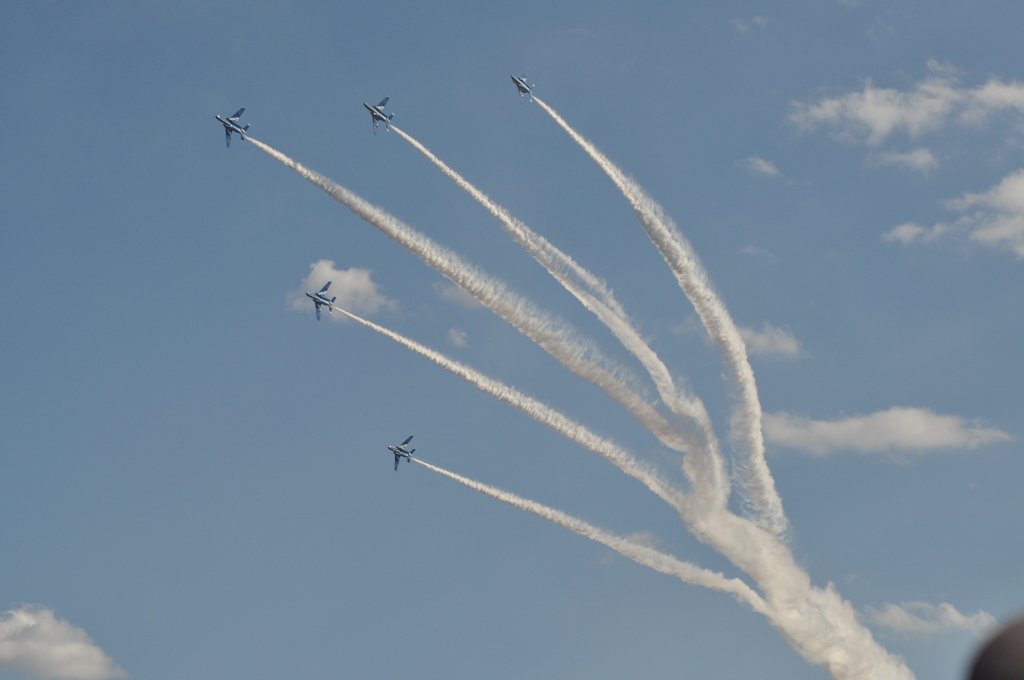 空のパレッド