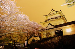 月夜に照らされて