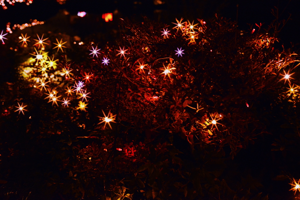 illumination