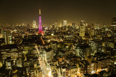 桜色の東京タワー