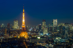 東京タワー3