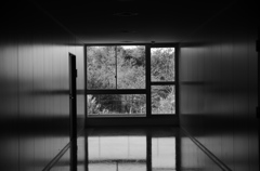 窓