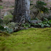 ふかふか