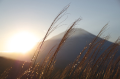 富士　夕暮れ