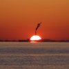 燃え上がる夕陽