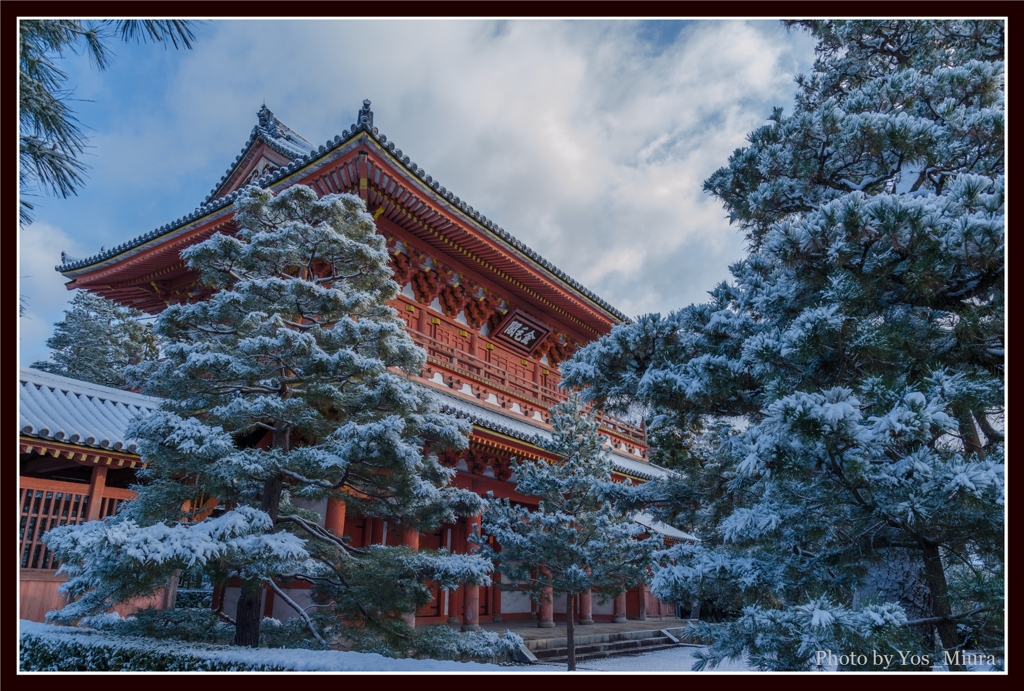 雪の金毛閣