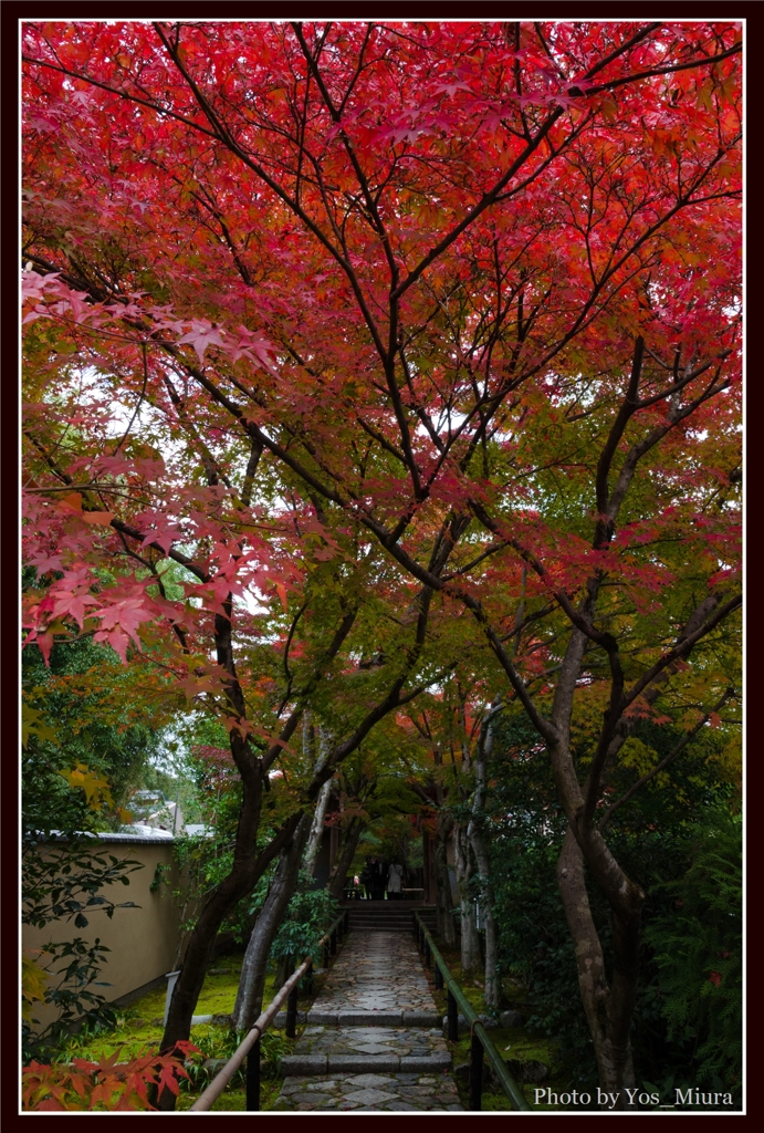 光悦寺