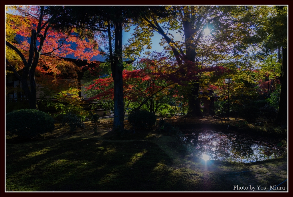 広隆寺　光と影