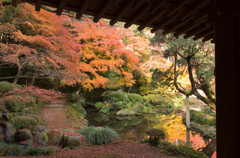 雷山千如寺 紅葉②