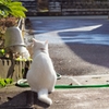 うしろネゴ