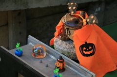 カエルのハロウィン