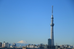 富士山とスカイツリー（朝）