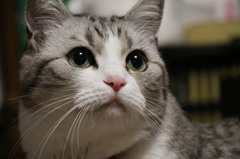 ん？