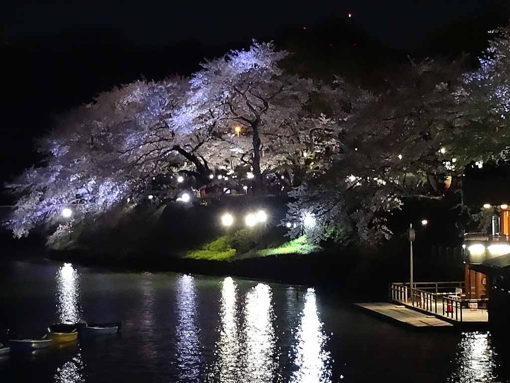 千鳥ヶ淵