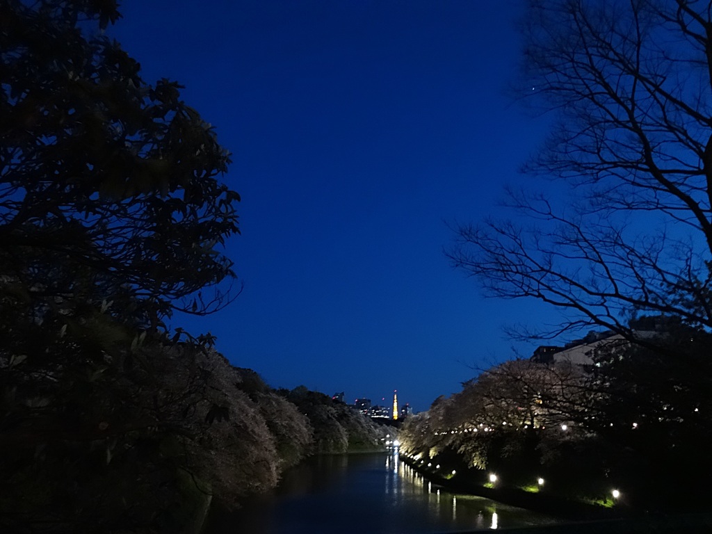 千鳥ヶ淵