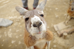 ん？
