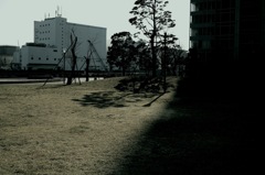 SDIM0079