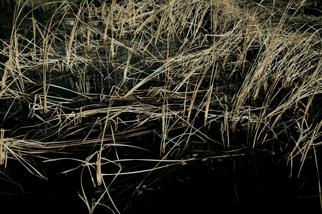 SDIM0086