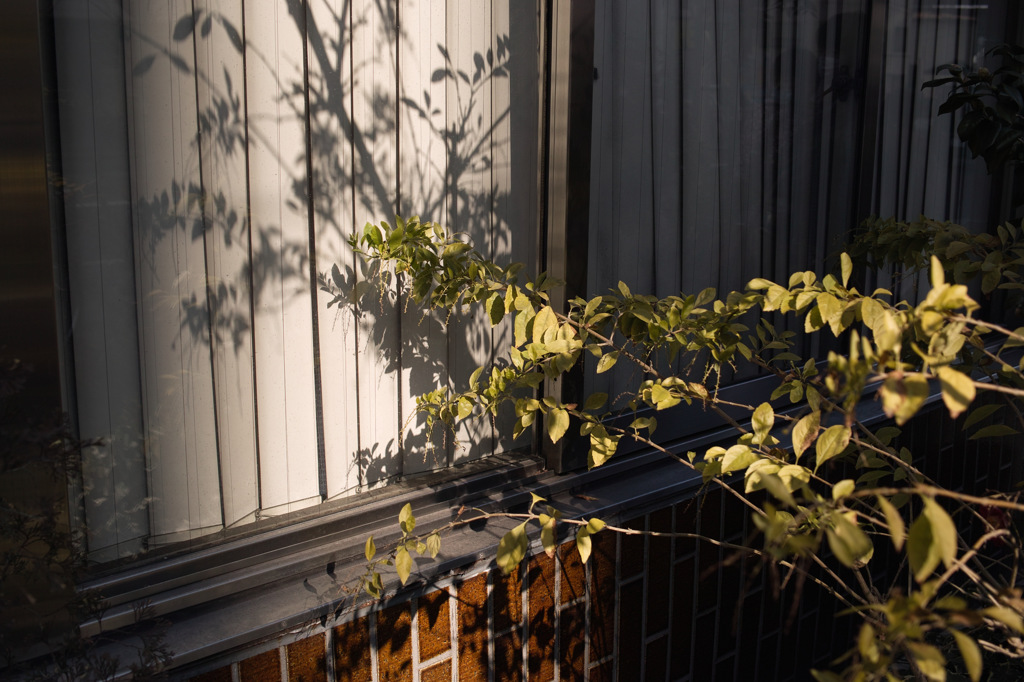 SDIM0148